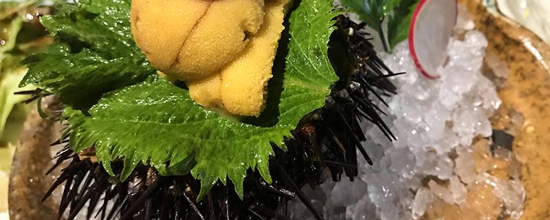 海胆生吃什么味道 海胆可以直接水煮吗