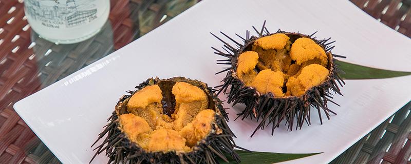 海胆的刺有毒吗 海胆能用手直接去抓吗