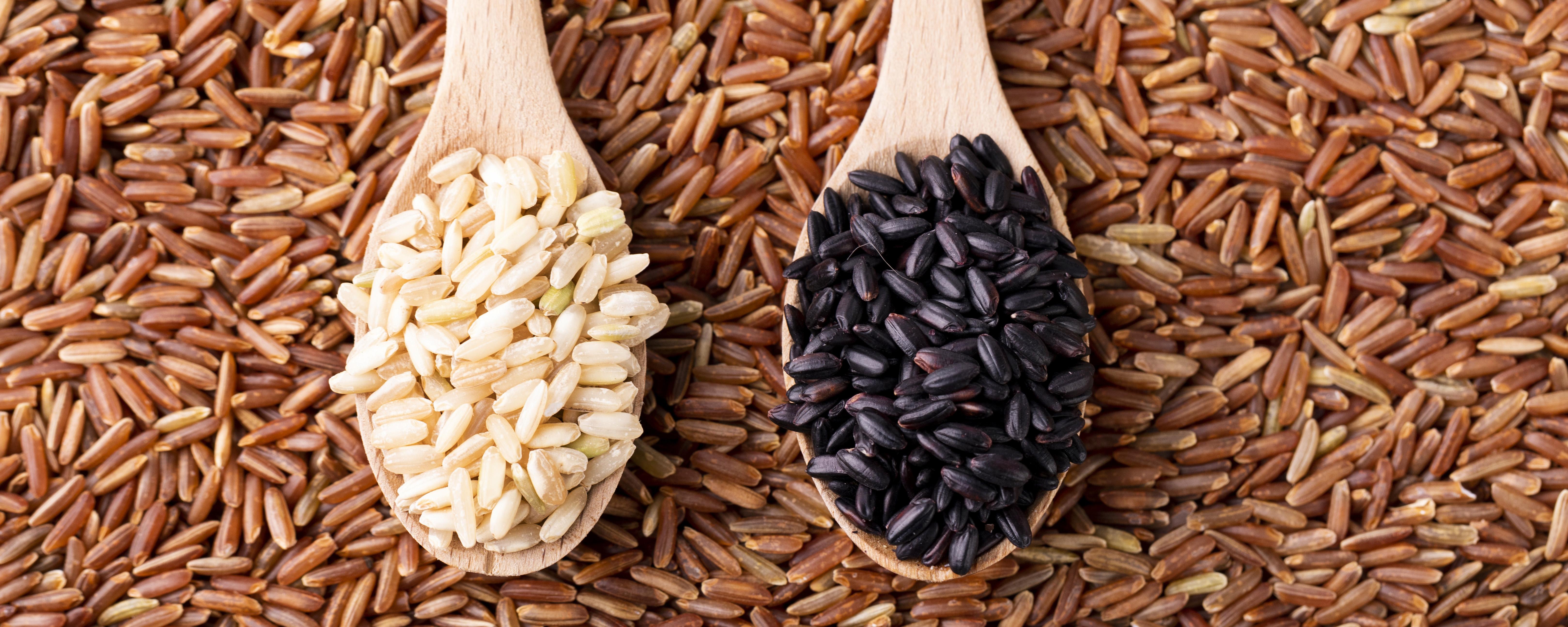 糙米好为什么不建议吃 粳米和糙米的区别