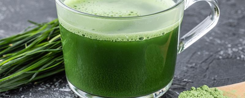 大麦若叶青汁禁忌 大麦若叶青汁能减肥吗