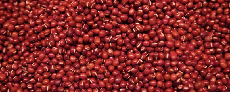 红豆的最佳搭配食材是什么 红豆禁忌什么一起吃