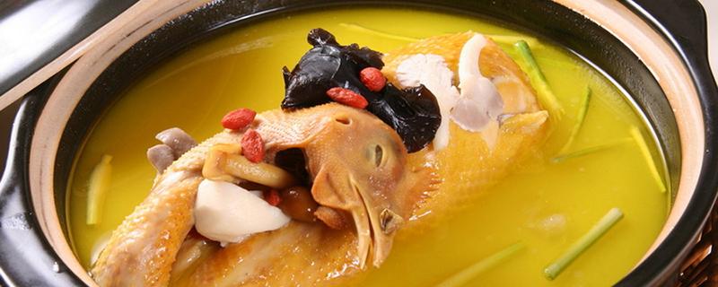 鸭子汤上火还是去火 为什么一吃鸭肉就上火