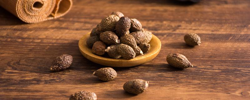 胖大海为什么会膨胀 胖大海可以泡一天吗