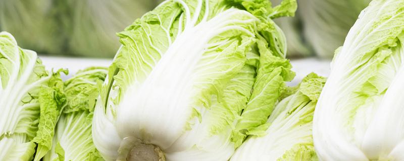 白菜是酸性还是碱性 白菜是上火还是降火