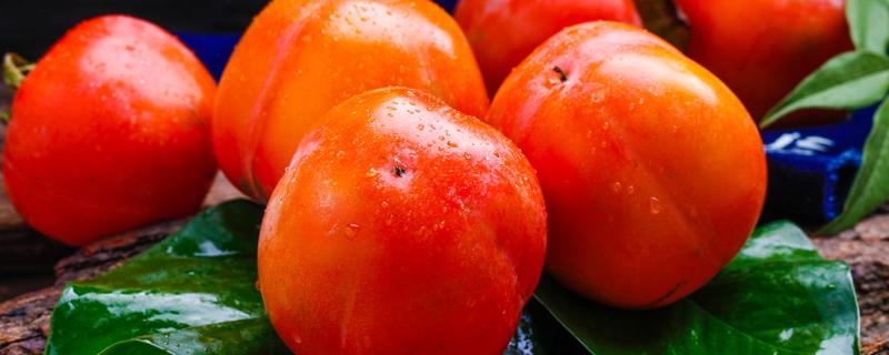 脆柿性寒还是性热 甜脆柿子的功效与禁忌