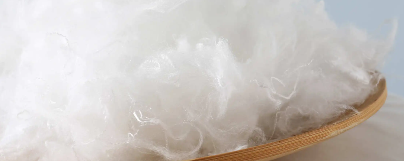 聚酯纤维的内衣好吗 内衣什么材质比较好