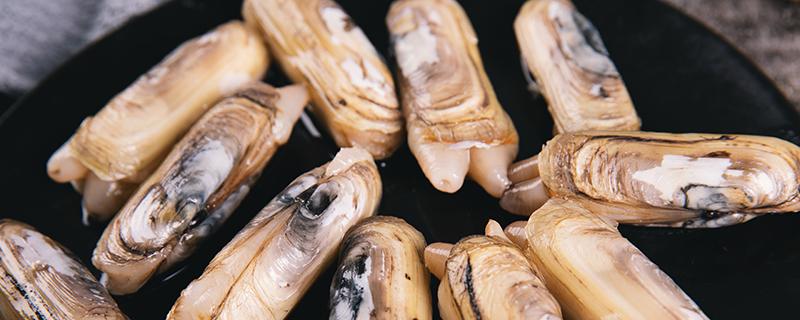 蛏子要去内脏吗 蛏子怎么快速去内脏