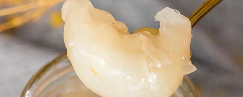 花胶隔夜还能喝吗 花胶怎么隔夜保存