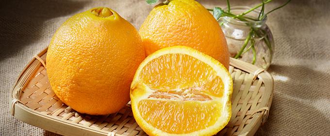 脐橙上火吗 脐橙可以降火吗