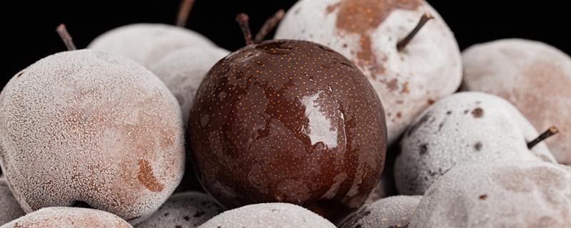 冻梨用什么品种的梨 冻梨吃了会拉肚子吗