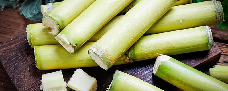 甘蔗发芽了能吃吗 甘蔗怎么保存不发芽