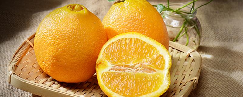 脐橙怎么保存得更久 脐橙可以冷藏保存吗