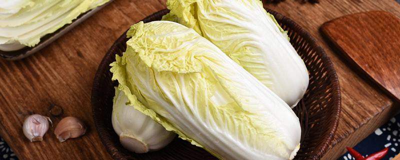 白菜可以降血脂吗 高血脂可以吃白菜吗