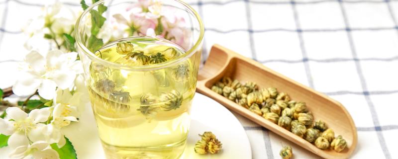 冬天能喝菊花茶吗 菊花茶6种人不要喝