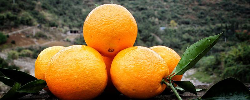 脐橙可以放多久 脐橙怎么保存不会坏