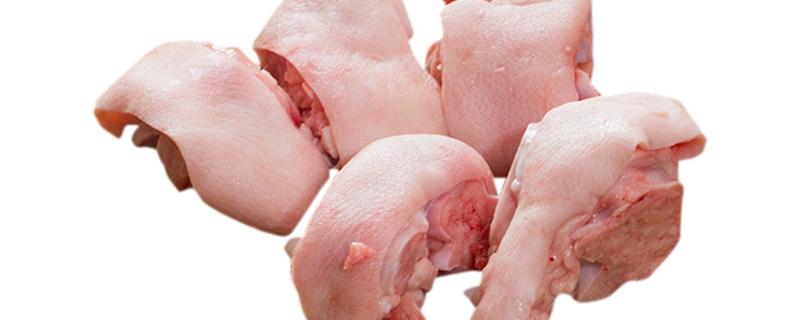 猪脚可以和什么一起炖 猪脚和什么一起炖最补