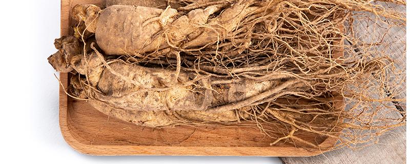 人参泡酒的最佳配方 人参泡酒时间多长最好