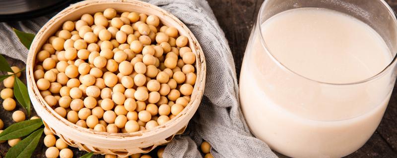 女人吃什么对卵巢好 吃六种食物对女性卵巢好