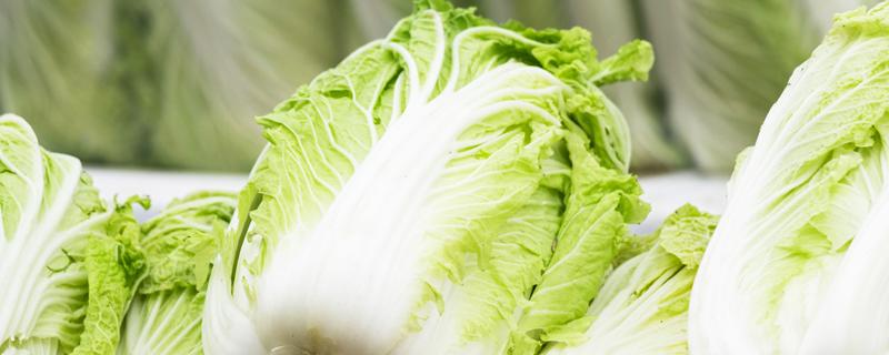 白菜冻了还能吃吗 白菜可以放冰箱冷藏室吗