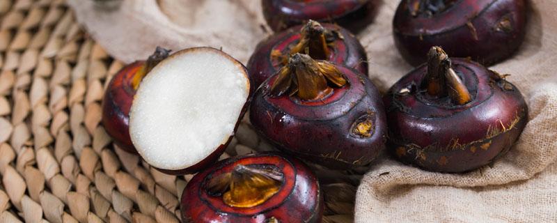 马蹄煮水的功效与禁忌 马蹄煮水治咳嗽的做法