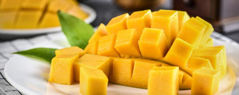 冬天适合吃芒果吗 芒果一年四季都有吗
