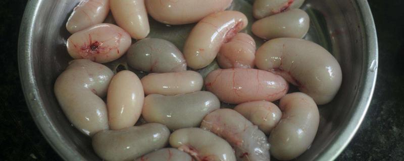 鸡的睾丸可以吃吗 宝宝能吃鸡睾丸吗