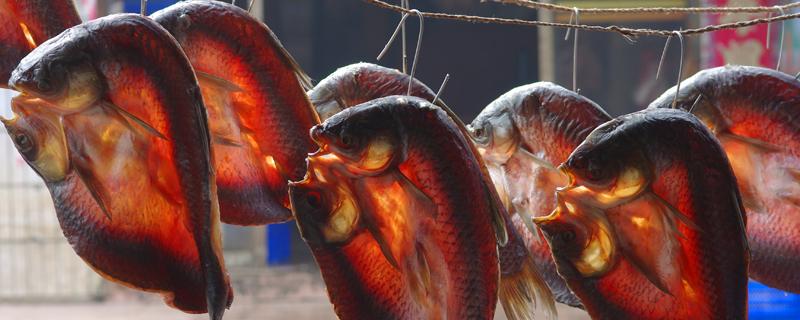 腌的腊鱼要洗了晒吗 腊鱼在吃之前要焯水吗