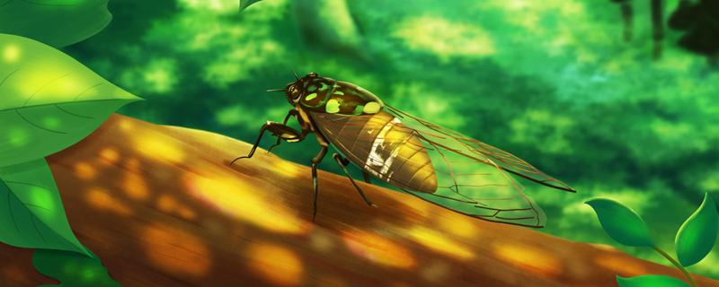 冻过的金蝉怎么做好吃 冰箱里金蝉变黑能吃吗