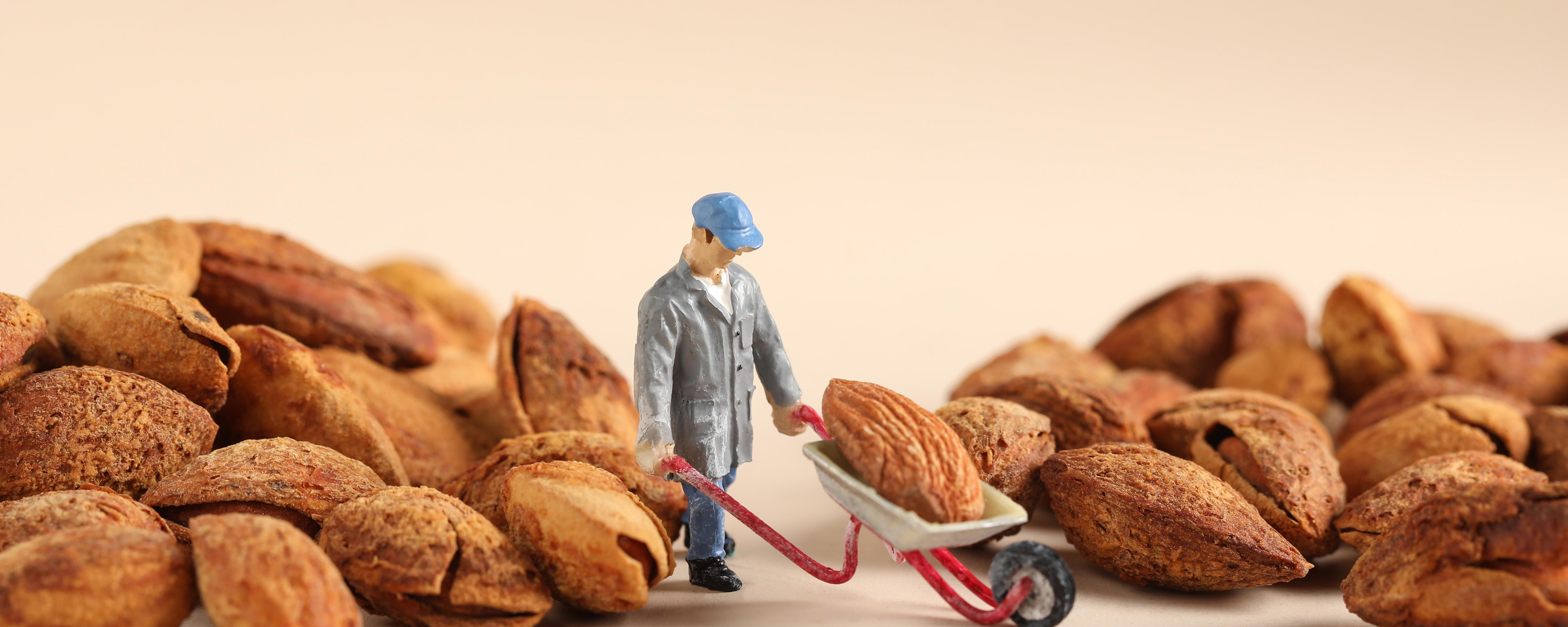 巴旦木和杏仁营养价值哪个好 巴旦木性温还是性寒