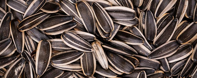瓜子仁吃多了有什么坏处 瓜子仁有味了还能吃吗