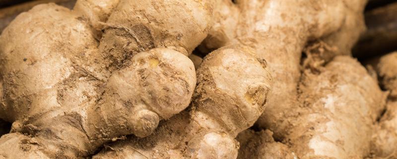 生姜熬水需要去皮吗 生姜熬水可以退烧吗