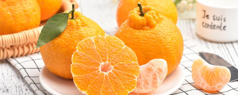 耙耙柑是热性还是凉性 耙耙柑不适合哪些人吃