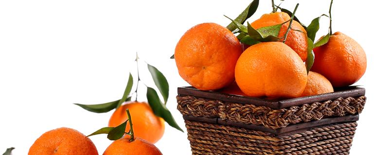 耙耙柑会上火吗 一个耙耙柑的热量大吗