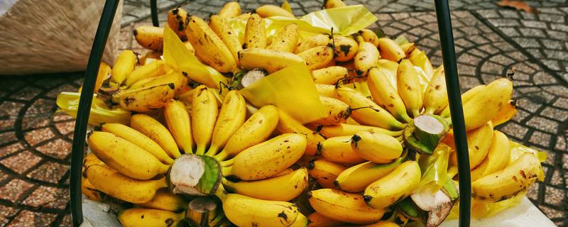 吃芭蕉有什么好处 芭蕉吃多了有什么坏处