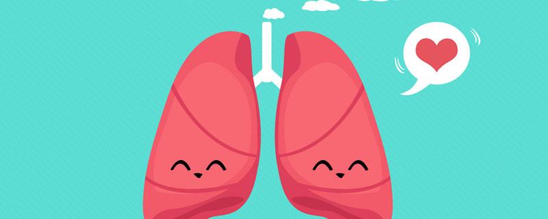 几点是养肺经的时间 养肺补肺吃什么东西比较好