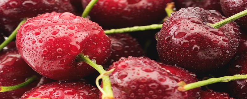 车厘子能补血吗 车厘子是发物吗