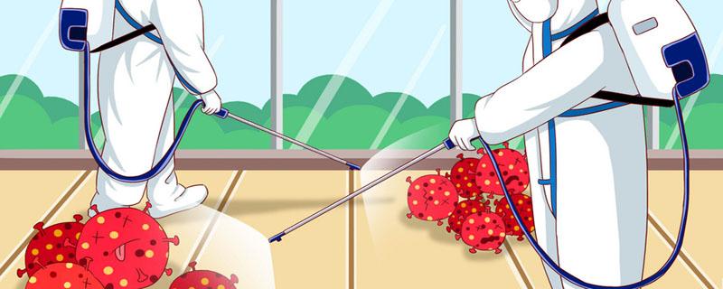 次氯酸消毒液可以喷食物吗 次氯酸消毒液是不是就是84