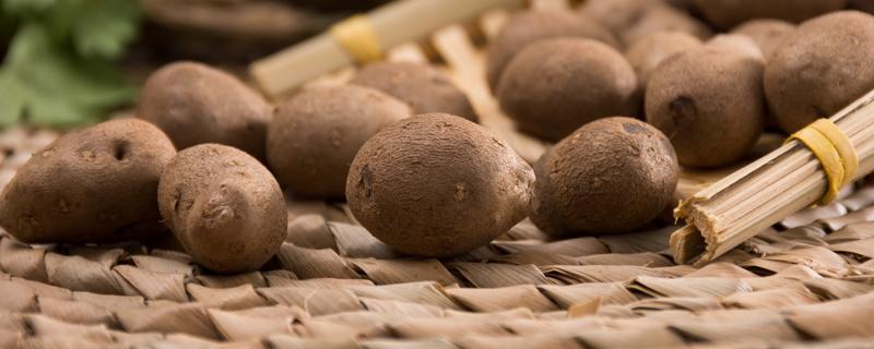 山药豆的禁忌 山药豆吃多了有什么副作用