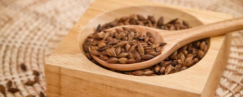 大麦茶一天喝多少合适 女人天天喝大麦茶好吗